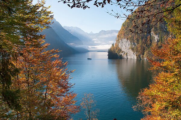 Autumnal Königssee seen from Malerwinkel.