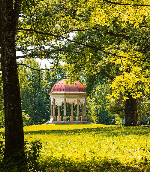 Schacky Park im Sommer
