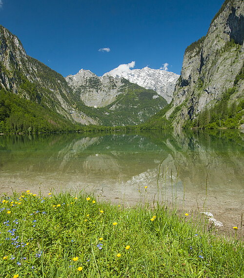 Obersee at the lake Königssee